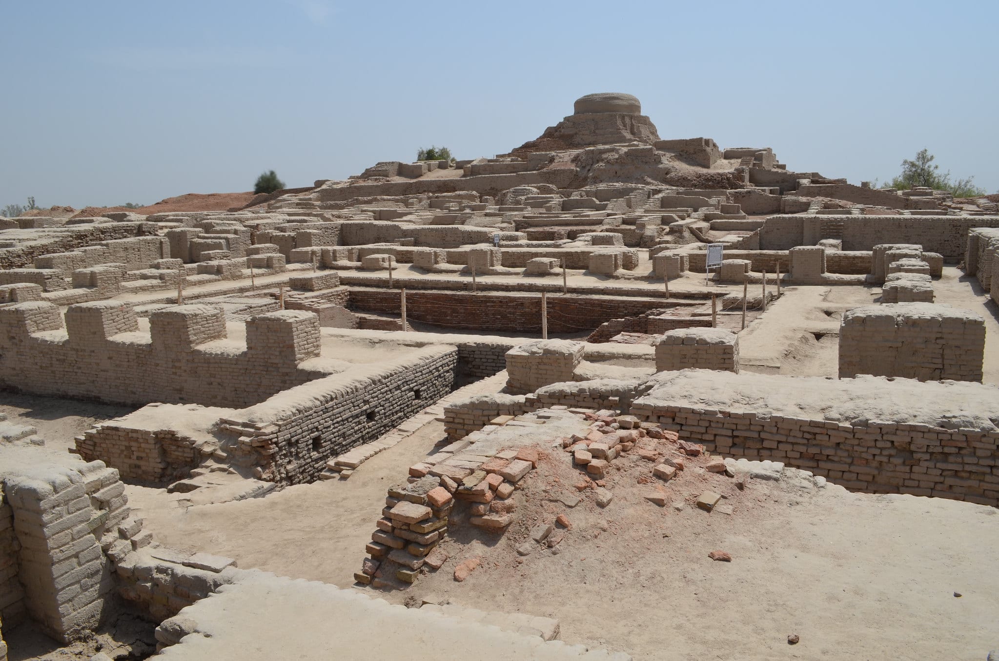हडप्पाकालीन संस्कृतीत तब्बल ५ हजार वर्षांपूर्वी 'हर्बल शॅम्पू' आणि साबणाचा वापर! बनवाली उत्खननातून उलगडले प्राचीन केशसौंदर्याचे रहस्य